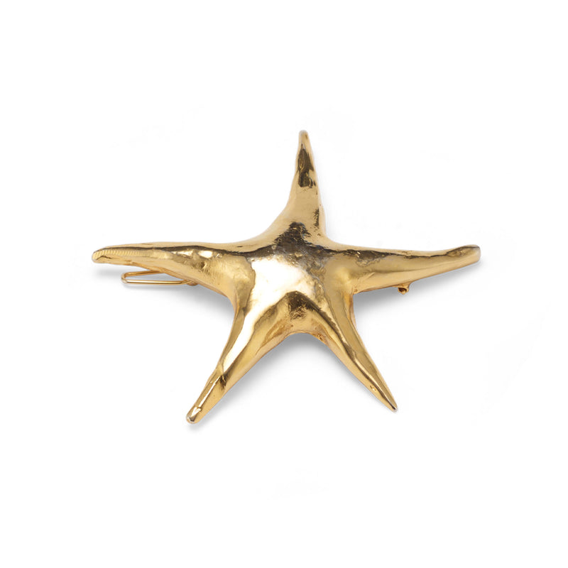 Nala Star Barrette