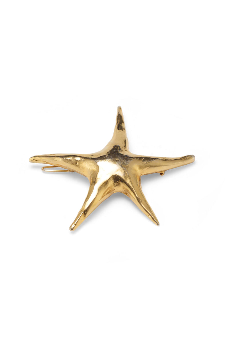 Nala Star Barrette