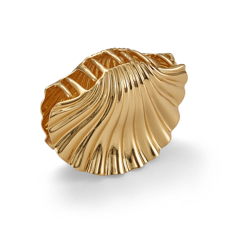 Glossy Shell Claw Clip