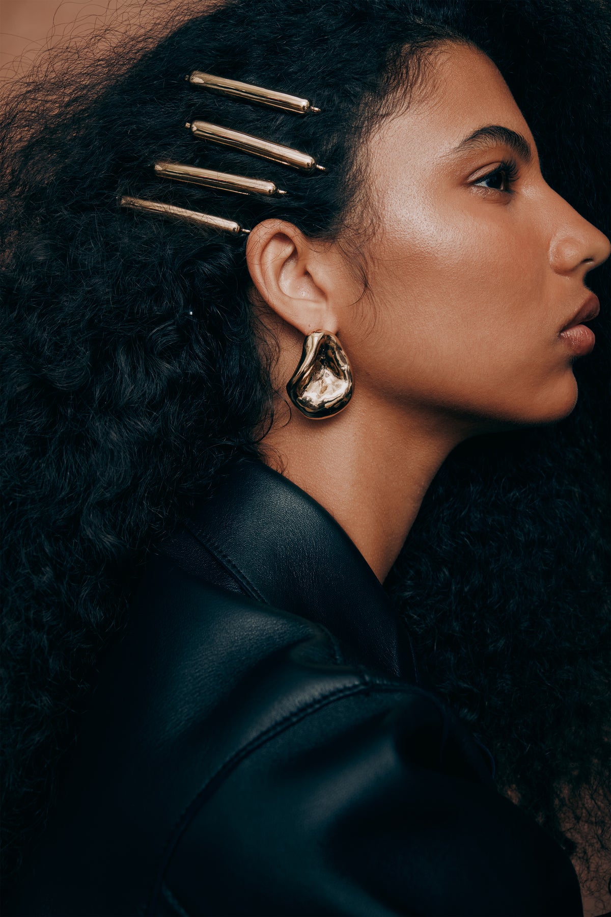Glossy Bobbi Pin Set of 2