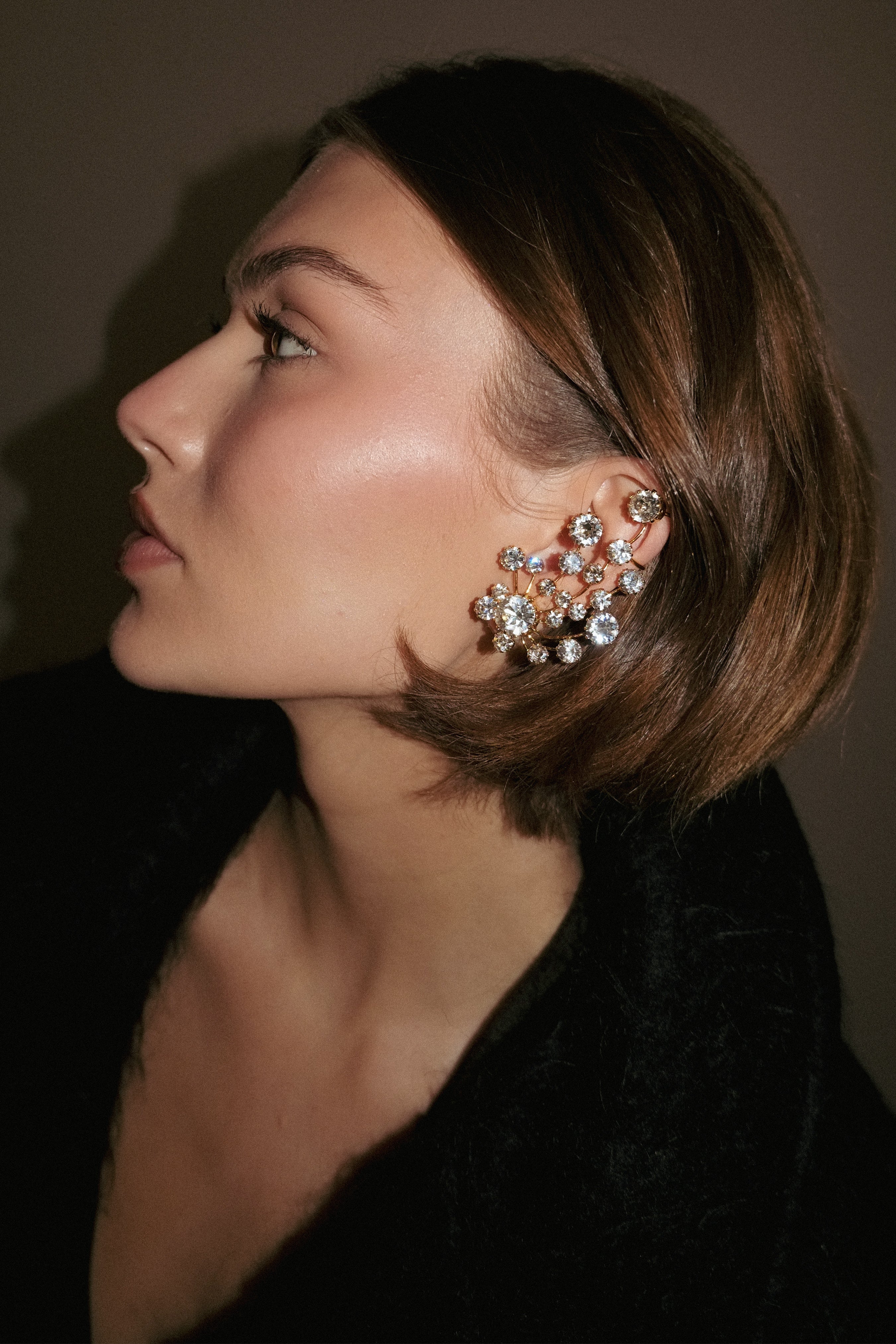 Briar Crystal Ear Cuff