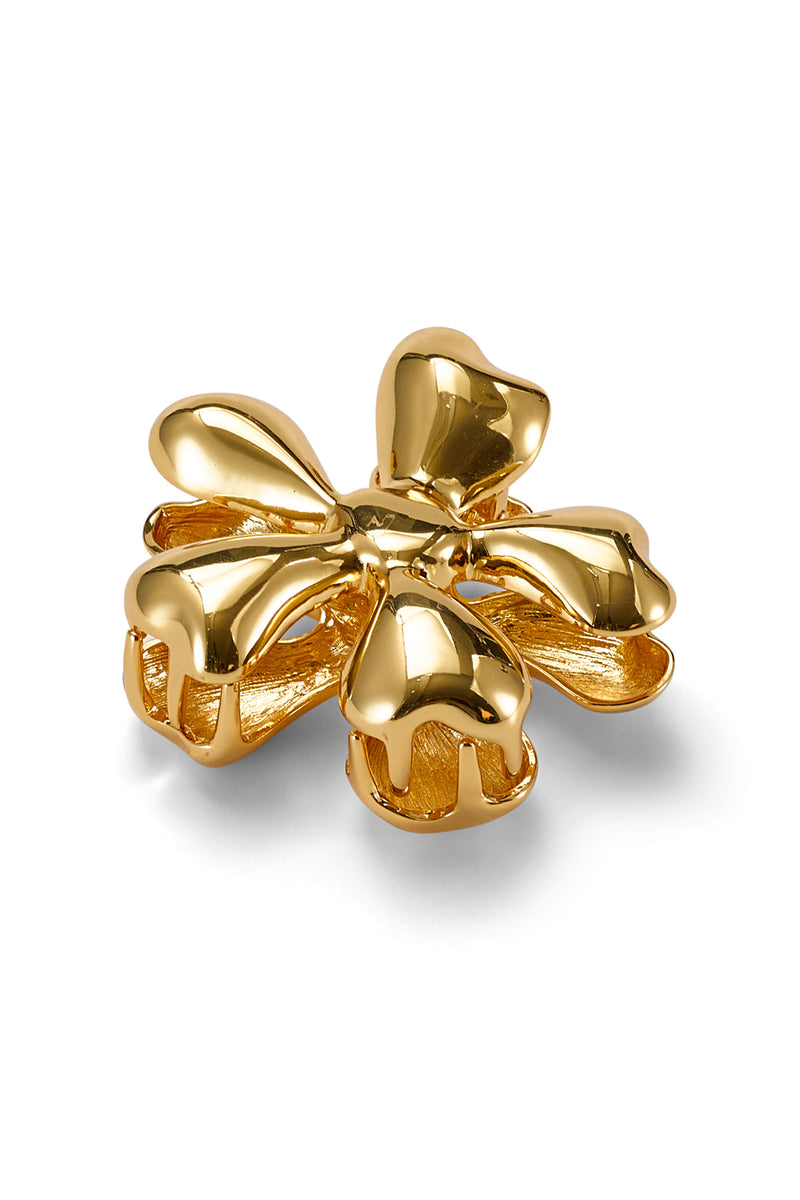Glossy Daisy Claw Clip