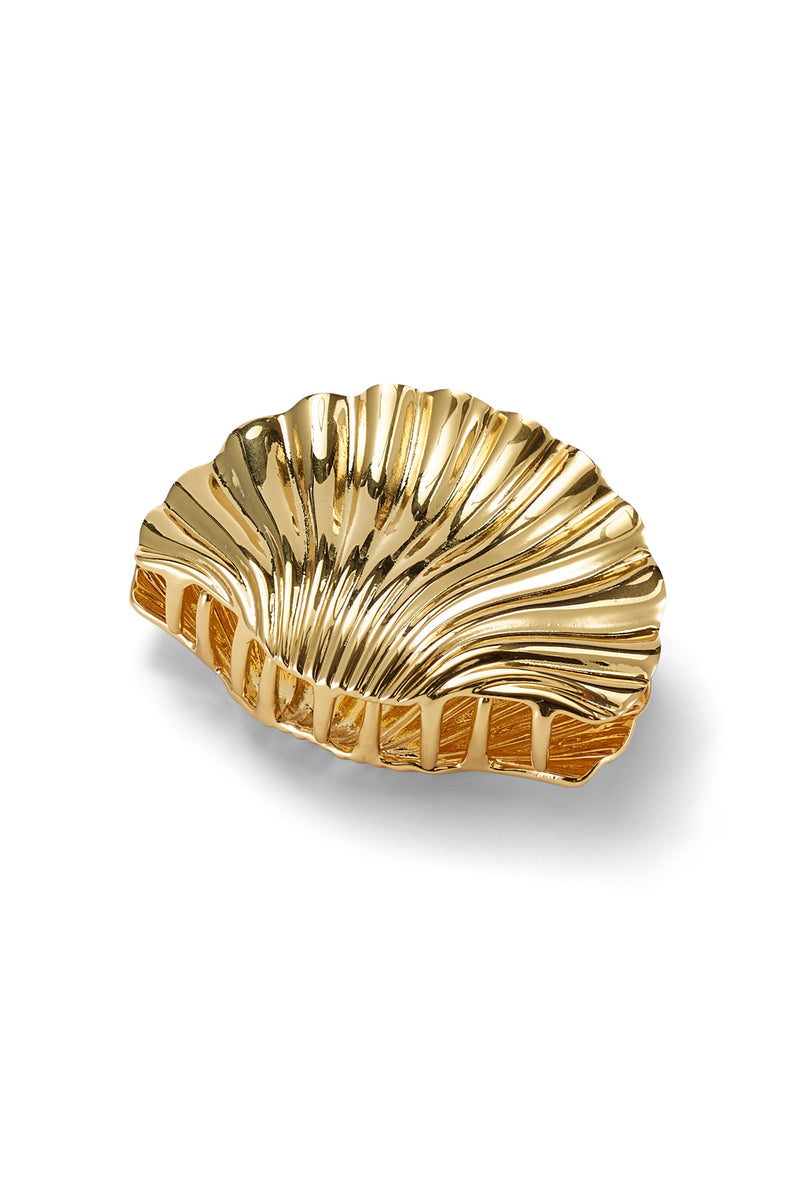 Glossy Shell Claw Clip
